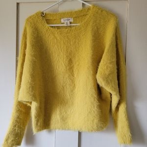 NEW W/ TAGS Mohair Cropped Sweater